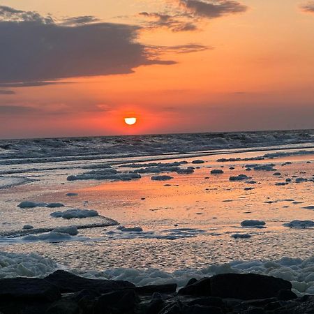 Wangerrose - Familienwohnung Fuer Gross Und Klein Und Hundefreunde فانجر أوخه المظهر الخارجي الصورة